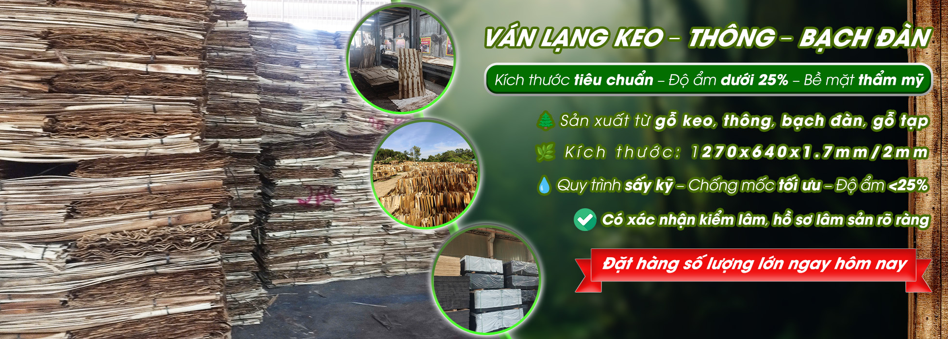 Công ty THHH Huy Sơn Thịnh
